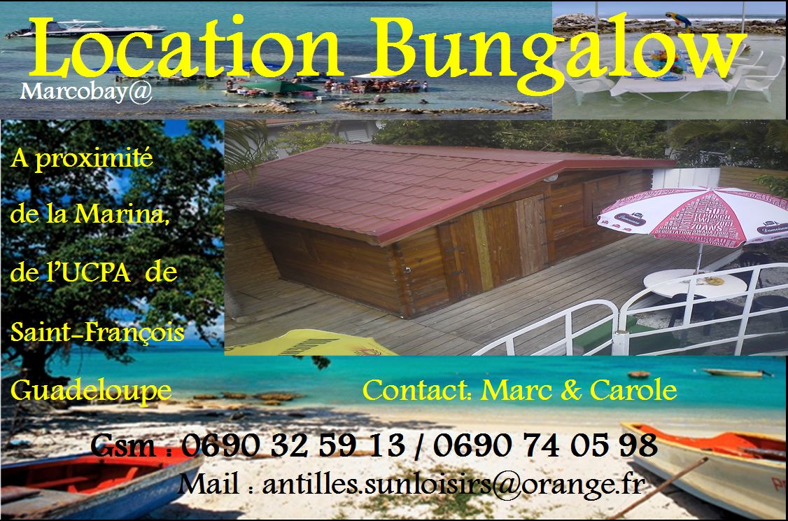 carte de visite photo bungalow 16022012